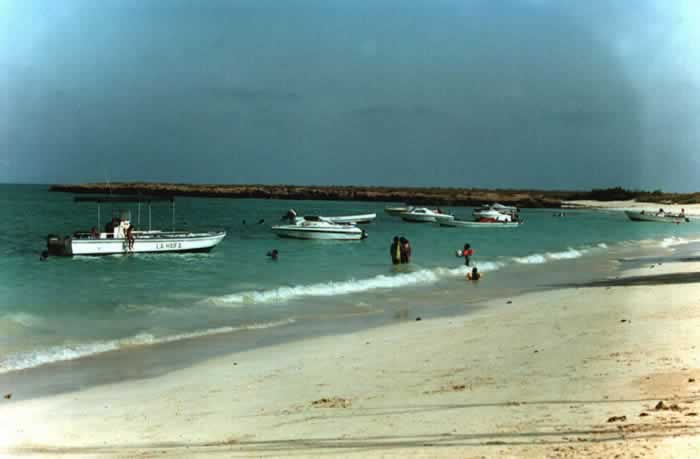 Maskali