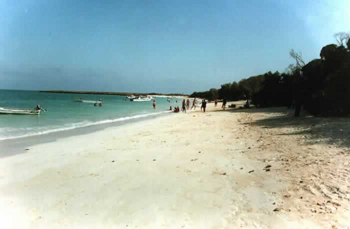 Maskali